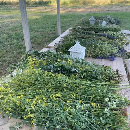 Campingplatz Goscin Nad Drawa Glamping *