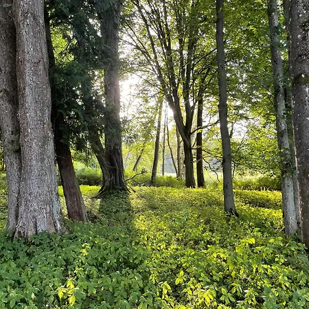 Goscin Nad Drawa Glamping