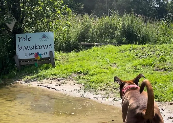 Кемпинг Goscin Nad Drawa Glamping Drawno