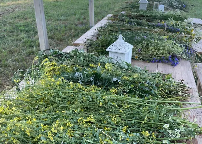 Кемпинг Goscin Nad Drawa Glamping *