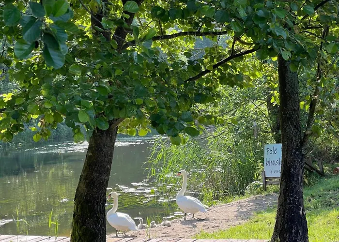 Goscin Nad Drawa Glamping *